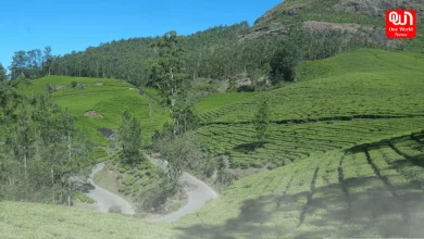 India's best forest vacations