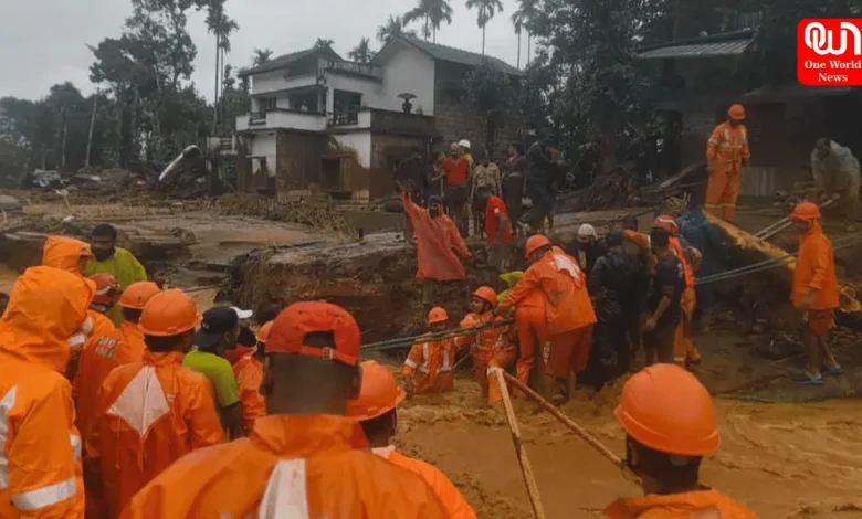 Wayanad landslides