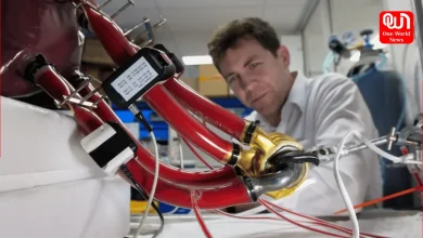 World's first heart made