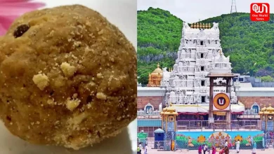 Tirupati Laddus Row