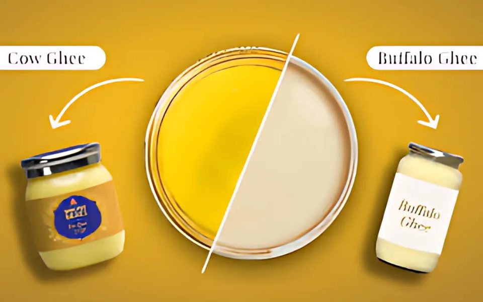 Cow Ghee or Buffallo Ghee