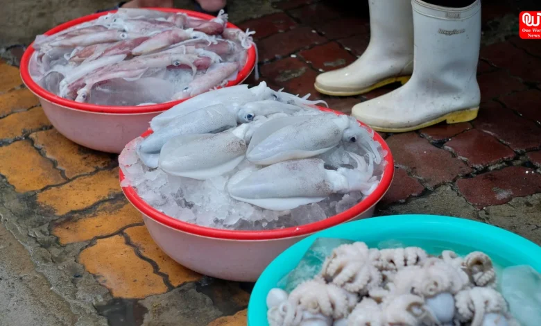 Easy Squid Dish Recipes for Beginners