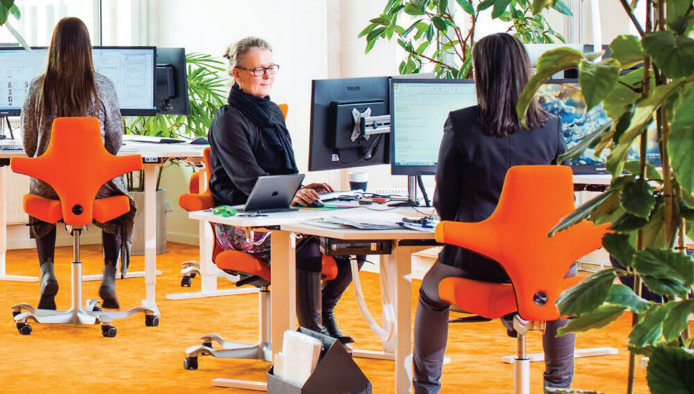 Invest in Ergonomic Furniture