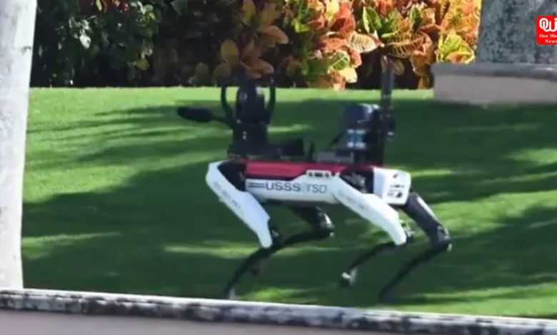 Robotic Dog at Mar-a-Lago The Future of Security for Donald Trump