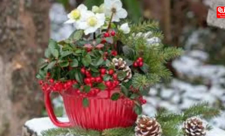 Bloom with Cheer Top Christmas Flowers to Brighten Your Holidays