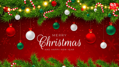 Christmas Decorations