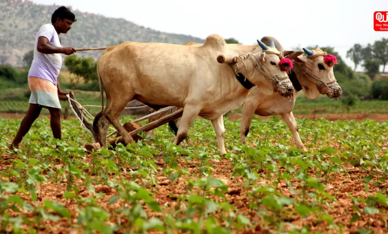 Kisan Diwas 2024