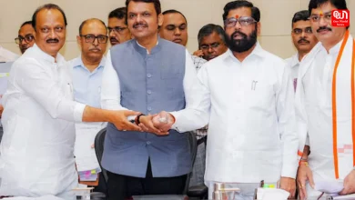 Maharashtra Politics Devendra Fadnavis Breaks Down Dynamics Between Shinde and Ajit Pawar