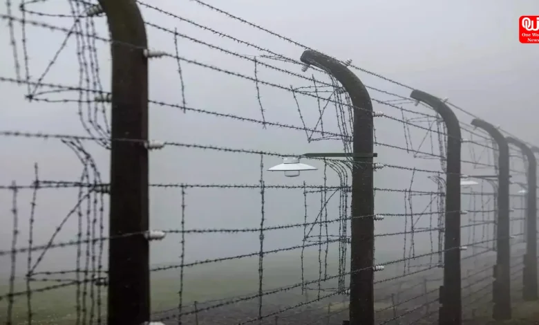 Modi Government Embarks on Largest Fencing Initiative Along Myanmar Border