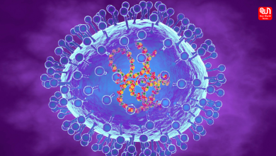 Understanding HMPV A Respiratory Virus Misunderstood as a Major Threat