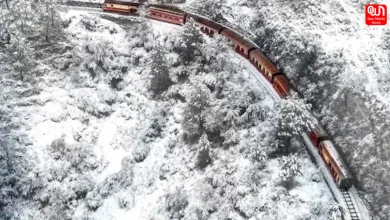 Winter Train