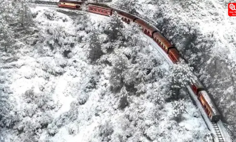 Winter Train