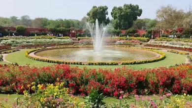 Amrit Udyan Utsav 2025