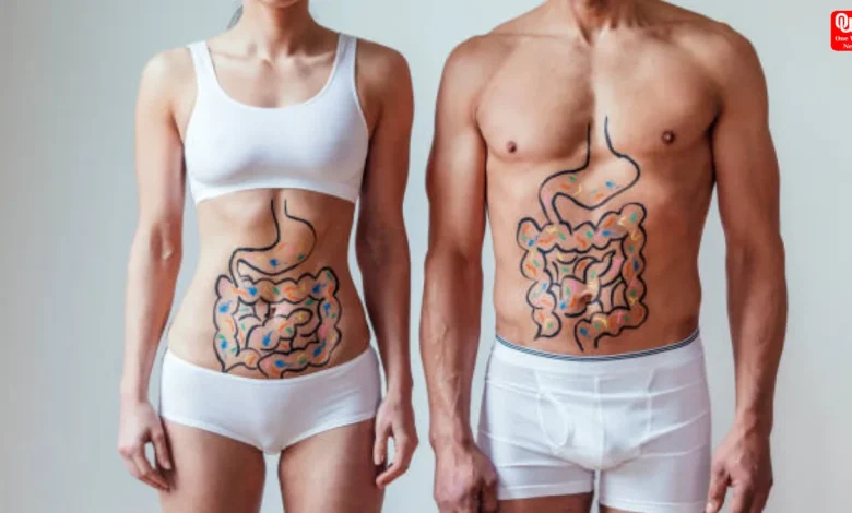 Muscle Mass on Metabolism