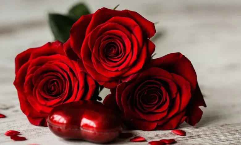 Rose