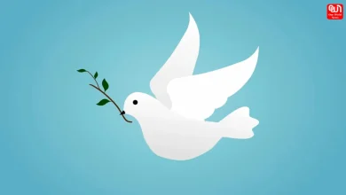 World Peace and Understanding Day