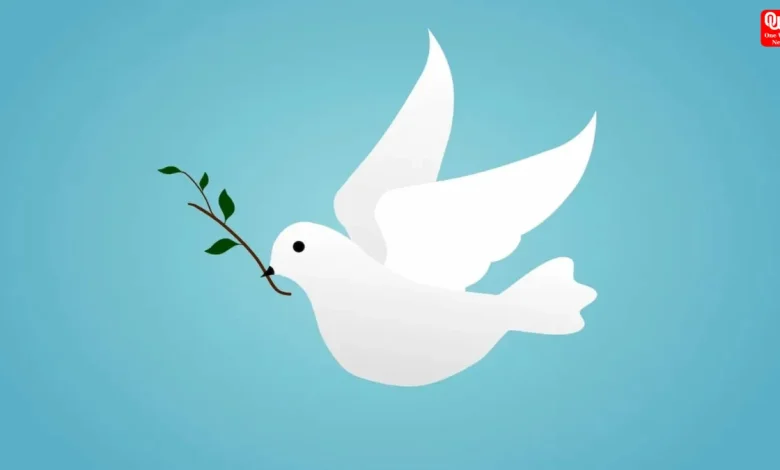 World Peace and Understanding Day