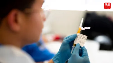 Cancer vaccine
