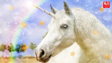 Unicorns Unite