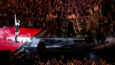 Brazil Police