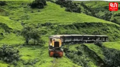 Curated Journeys and Cool Escapes