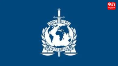 Interpol