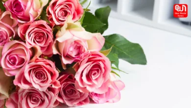 National Rose Month