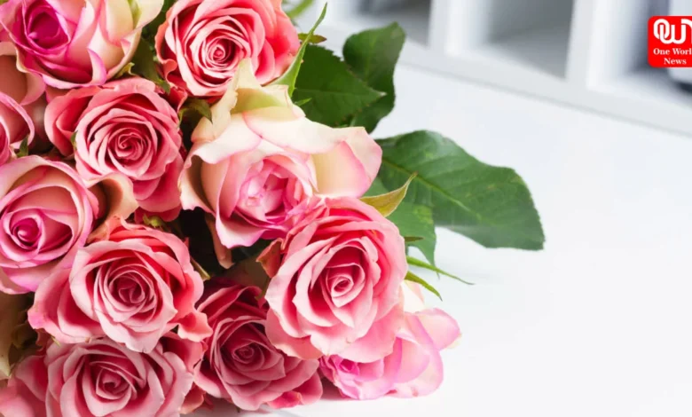 National Rose Month