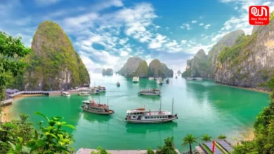 Vietnam Golden Visa