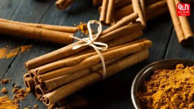 Cinnamon