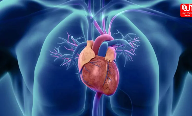Heart Blockage