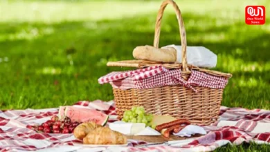 International Picnic Day