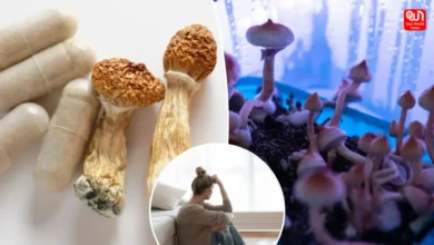 Magic Mushrooms