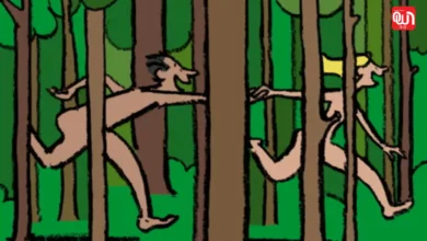 Sex in the Woods
