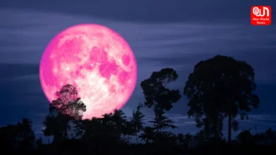 Strawberry Moon