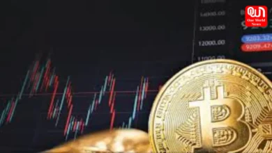 crypto craze