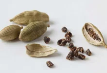 cardamom