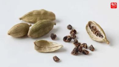 cardamom