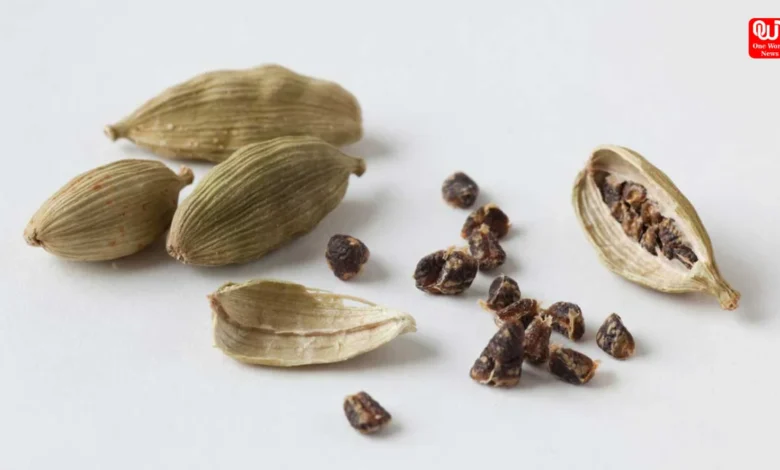cardamom