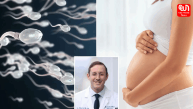 AI helps couple get pregnant