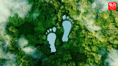 Carbon Footprint