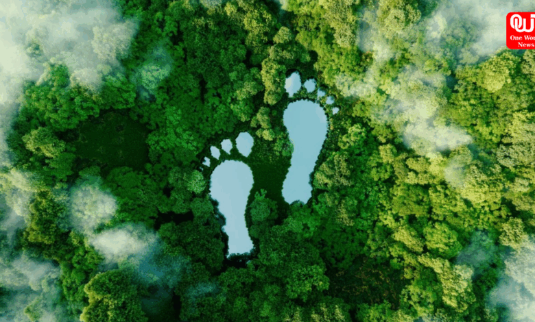 Carbon Footprint