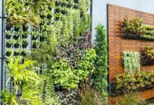 DIY Vertical Gardening