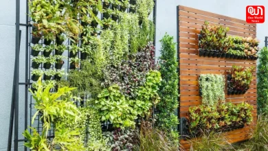 DIY Vertical Gardening