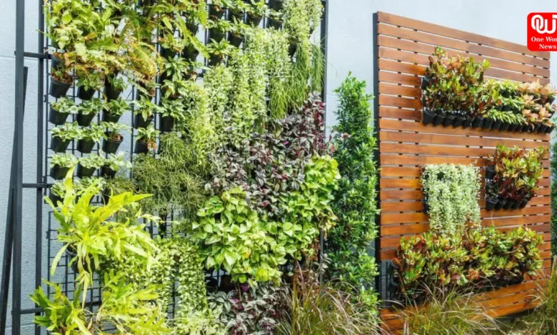DIY Vertical Gardening