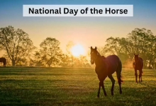 Horse Day