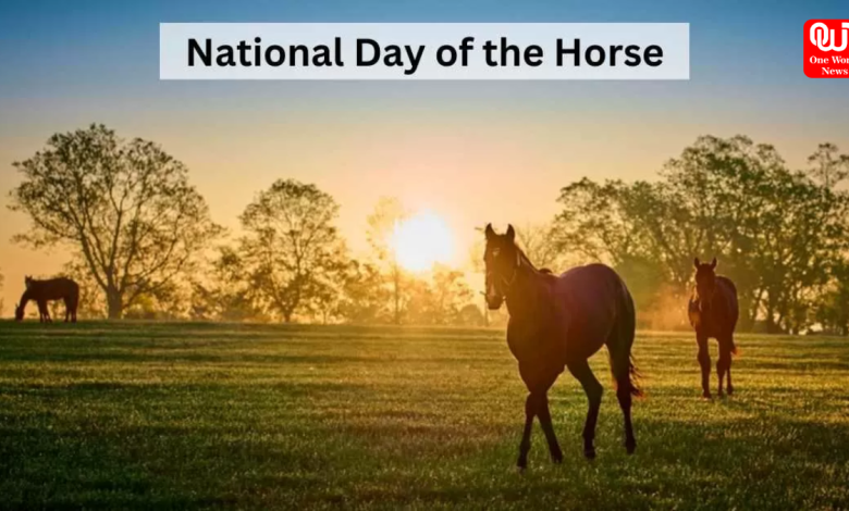 Horse Day