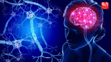 Improve Brain Health