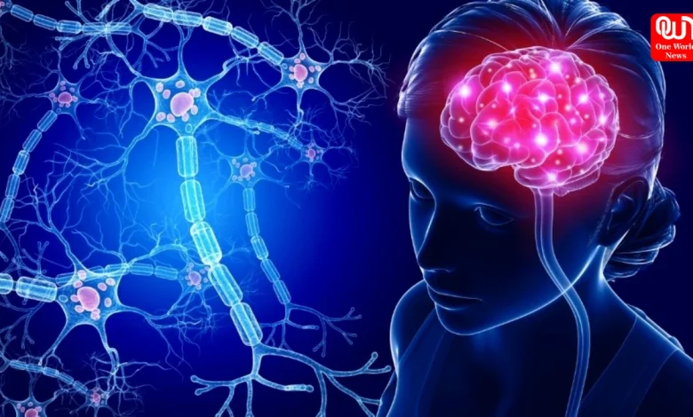 Improve Brain Health