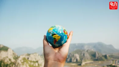 International Travel Insurance